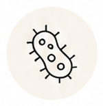 Line icon of microbes representing skin bacteria